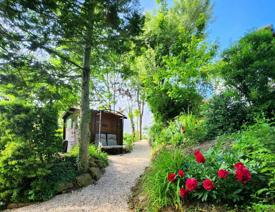 Gardenview Apartments & Suites Bei Bad Kissingen 누딘겐 외부 사진