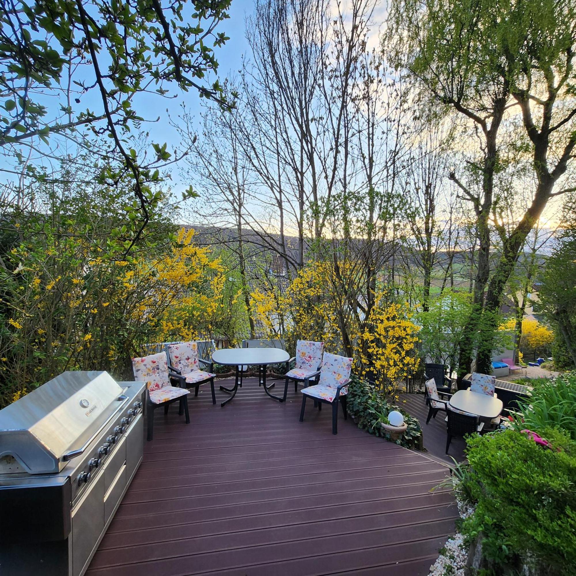 Gardenview Apartments & Suites Bei Bad Kissingen 누딘겐 외부 사진
