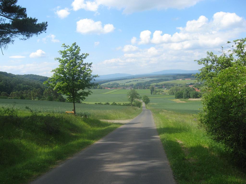 Gardenview Apartments & Suites Bei Bad Kissingen 누딘겐 외부 사진